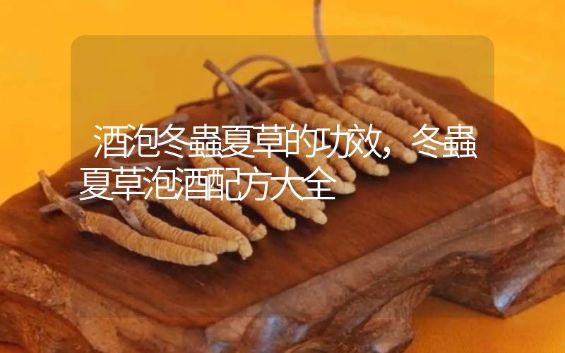 酒泡冬蟲夏草的作用，冬蟲夏草泡酒配方大全