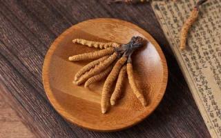 怎么分辨哪些冬蟲夏草是面粉做的？