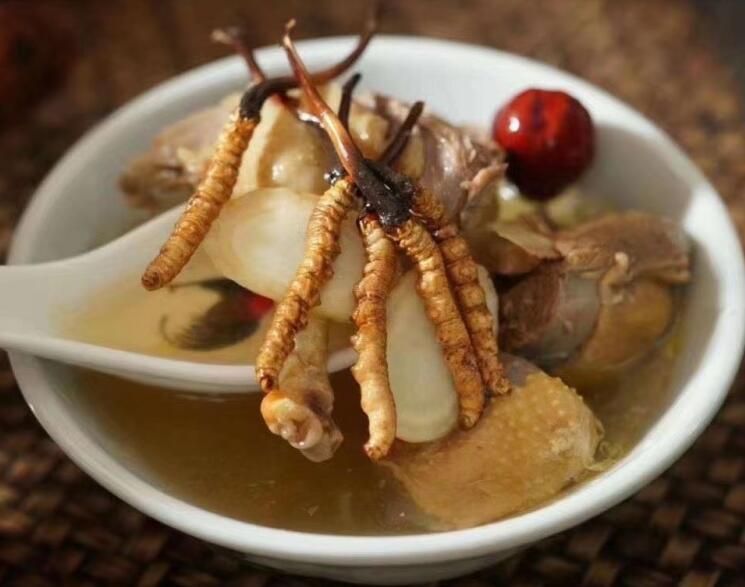 冬蟲夏草可以飯后吃嗎？