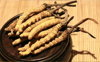 未來(lái)冬蟲夏草會(huì)漲價(jià)嗎？