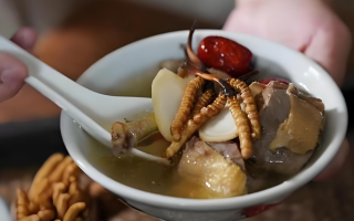 冬蟲(chóng)夏草搭配有道，滋養(yǎng)肺部效果妙