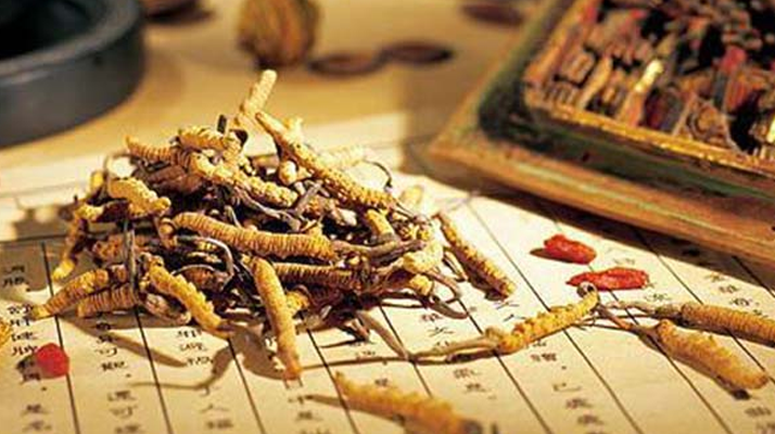 同仁堂健康冬蟲夏草：傳承品質(zhì)，饋贈健康