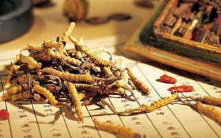 同仁堂健康冬蟲夏草：傳承品質(zhì)，饋贈健康