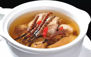 冬蟲夏草煲湯的最佳季節(jié)，喝對(duì)事半功倍