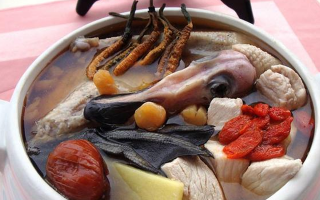 冬蟲(chóng)夏草配什么煲湯好？營(yíng)養(yǎng)美味的搭配指南