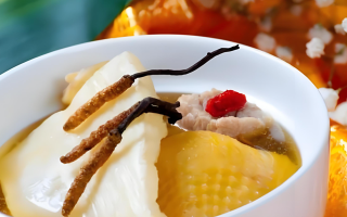 冬蟲夏草每天什么時候吃最好？一文詳解最佳食用時間